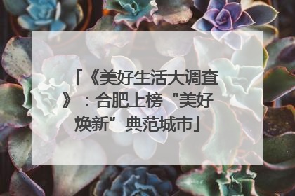 《美好生活大调查》：合肥上榜“美好焕新”典范城市