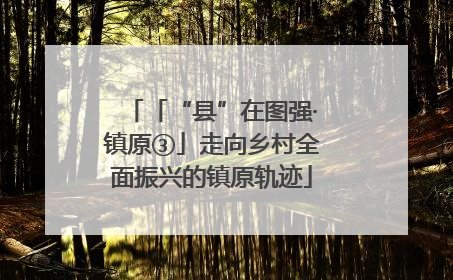 「“县”在图强·镇原③」走向乡村全面振兴的镇原轨迹