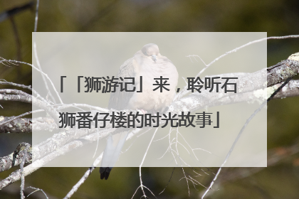 「狮游记」来,聆听石狮番仔楼的时光故事