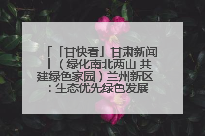「甘快看」甘肃新闻丨（绿化南北两山 共建绿色家园）兰州新区：生态优先绿色发展 打造生态环保示范区