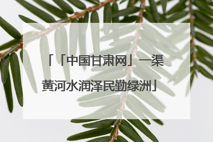 「中国甘肃网」一渠黄河水润泽民勤绿洲