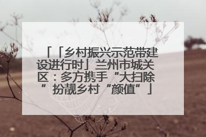 「乡村振兴示范带建设进行时」兰州市城关区：多方携手“大扫除”扮靓乡村“颜值”