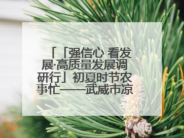 「强信心 看发展·高质量发展调研行」初夏时节农事忙——武威市凉州区推进高标准农田建设见闻