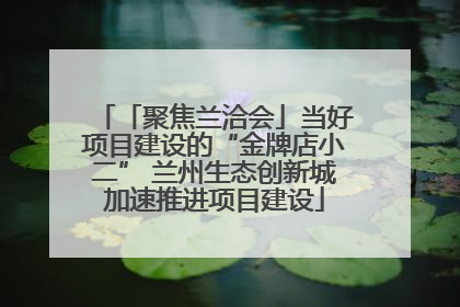 「聚焦兰洽会」当好项目建设的“金牌店小二” 兰州生态创新城加速推进项目建设