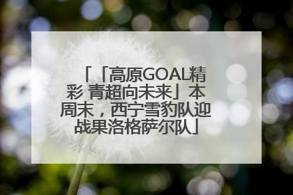 「高原GOAL精彩 青超向未来」本周末，西宁雪豹队迎战果洛格萨尔队