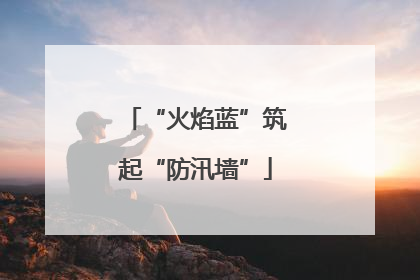 “火焰蓝”筑起“防汛墙”