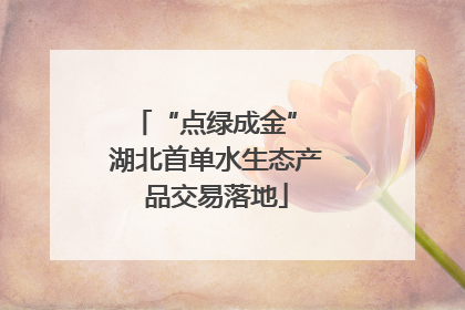 “点绿成金” 湖北首单水生态产品交易落地