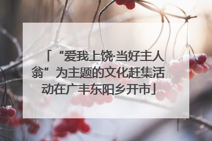 “爱我上饶·当好主人翁”为主题的文化赶集活动在广丰东阳乡开市