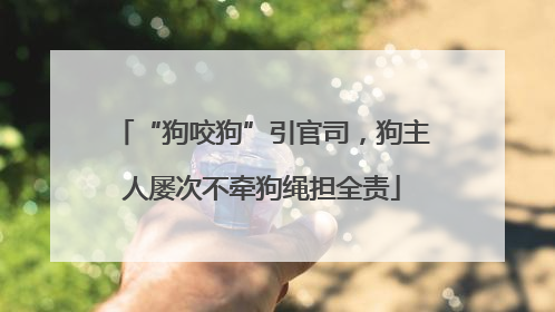 “狗咬狗”引官司，狗主人屡次不牵狗绳担全责