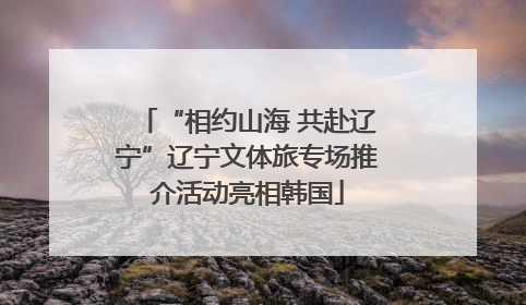 “相约山海 共赴辽宁”辽宁文体旅专场推介活动亮相韩国