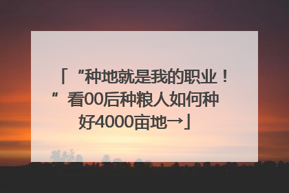 “种地就是我的职业！”看00后种粮人如何种好4000亩地→