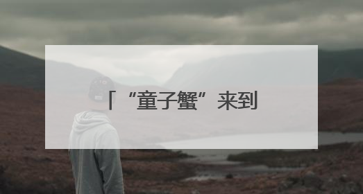 “童子蟹”来到厦门市场，专家支招如何挑选→