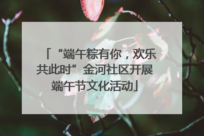 “端午粽有你，欢乐共此时”金河社区开展端午节文化活动