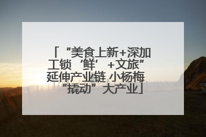 “美食上新+深加工锁‘鲜’+文旅”延伸产业链 小杨梅“撬动”大产业
