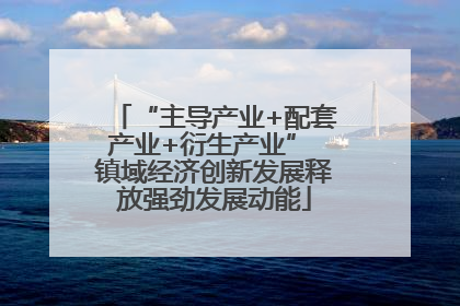 “主导产业+配套产业+衍生产业” 镇域经济创新发展释放强劲发展动能