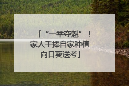 “一举夺魁”！家人手捧自家种植向日葵送考