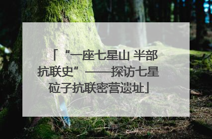 “一座七星山 半部抗联史”——探访七星砬子抗联密营遗址