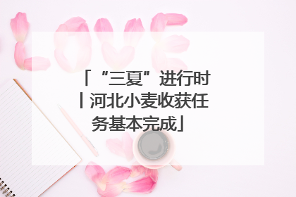 “三夏”进行时丨河北小麦收获任务基本完成