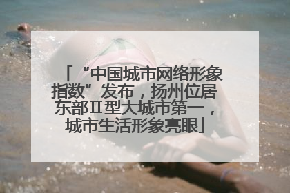 “中国城市网络形象指数”发布，扬州位居东部Ⅱ型大城市第一，城市生活形象亮眼