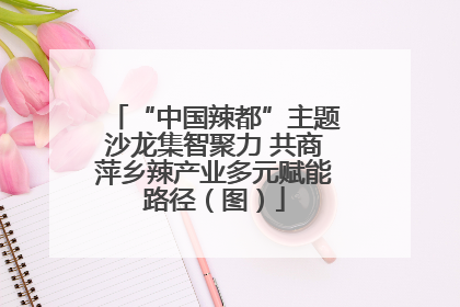 “中国辣都”主题沙龙集智聚力 共商萍乡辣产业多元赋能路径（图）