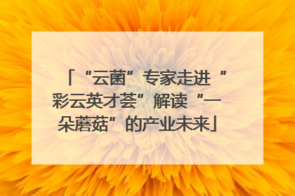 “云菌”专家走进“彩云英才荟”解读“一朵蘑菇”的产业未来