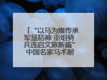 “以马为媒传承军垦精神 重组骑兵连启文旅新篇” 中国名家马术耐力邀请赛（一八五团站）暨重启骑兵连活动正式启动