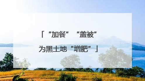 “加餐”“盖被” 为黑土地“增肥”