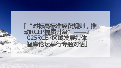 “对标高标准经贸规则，推动RCEP提质升级”——2025RCEP区域发展媒体智库论坛举行专题对话
