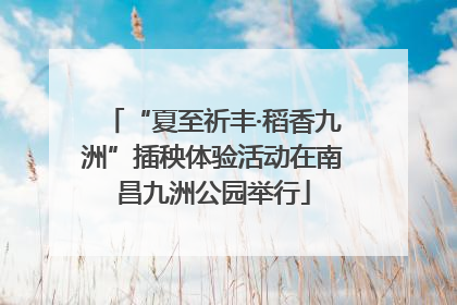 “夏至祈丰·稻香九洲”插秧体验活动在南昌九洲公园举行