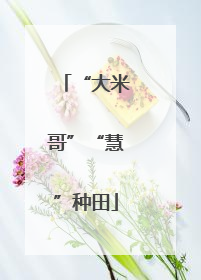 “大米哥”“慧”种田