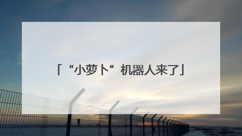 “小萝卜”机器人来了