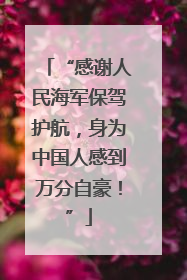 “感谢人民海军保驾护航，身为中国人感到万分自豪！”