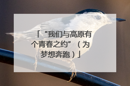 “我们与高原有个青春之约”（为梦想奔跑）