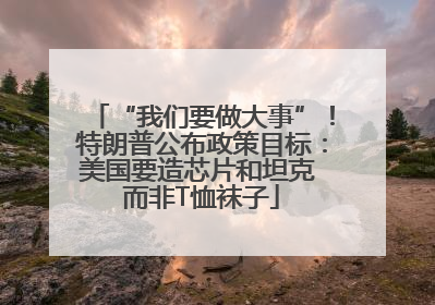 “我们要做大事”！特朗普公布政策目标：美国要造芯片和坦克 而非T恤袜子