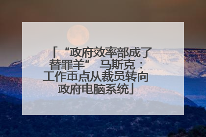 “政府效率部成了替罪羊” 马斯克：工作重点从裁员转向政府电脑系统