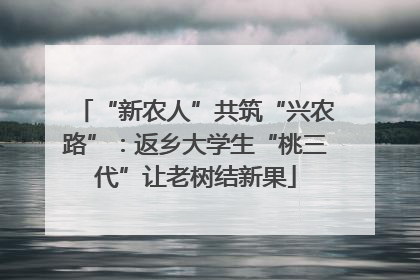“新农人”共筑“兴农路”：返乡大学生“桃三代”让老树结新果