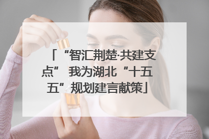 “智汇荆楚·共建支点” 我为湖北“十五五”规划建言献策