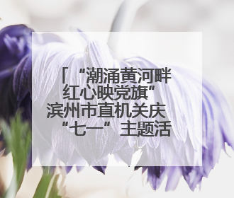 “潮涌黄河畔 红心映党旗”滨州市直机关庆“七一”主题活动举办