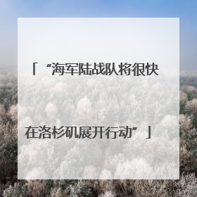 “海军陆战队将很快在洛杉矶展开行动”