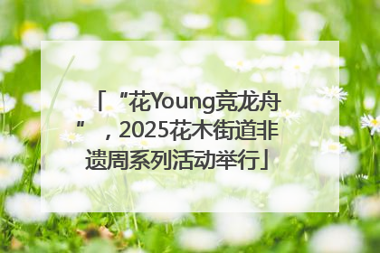 “花Young竞龙舟”，2025花木街道非遗周系列活动举行