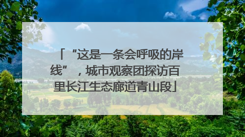 “这是一条会呼吸的岸线”，城市观察团探访百里长江生态廊道青山段