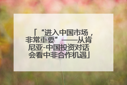 “进入中国市场，非常重要”——从肯尼亚-中国投资对话会看中非合作机遇