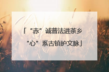 “赤”诚普法进茶乡 “心”系古镇护文脉