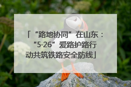 “路地协同”在山东：“5·26”爱路护路行动共筑铁路安全防线