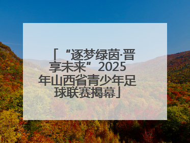 “逐梦绿茵·晋享未来”2025年山西省青少年足球联赛揭幕
