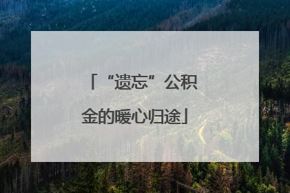 “遗忘”公积金的暖心归途