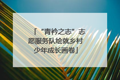 “青衿之志”志愿服务队绘就乡村少年成长画卷