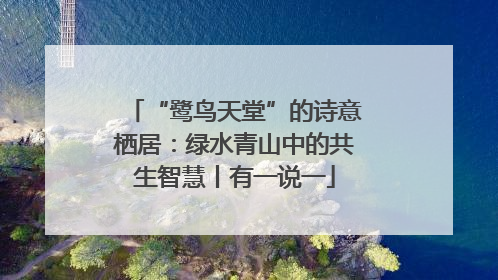 “鹭鸟天堂”的诗意栖居：绿水青山中的共生智慧丨有一说一