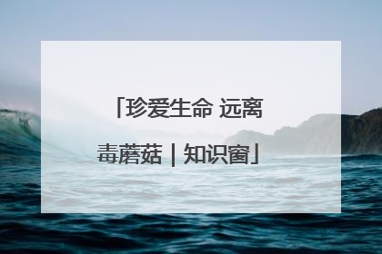 珍爱生命 远离毒蘑菇｜知识窗