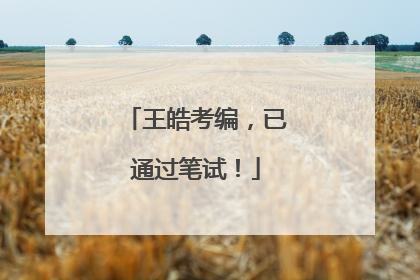 王皓考编，已通过笔试！